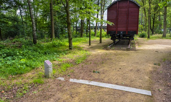 DSCF4054A kopie.jpg