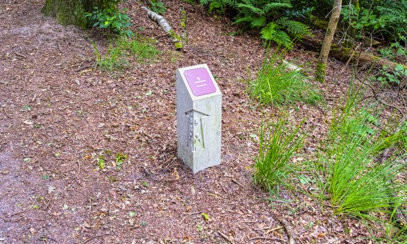DSCF4089 kopie.jpg
