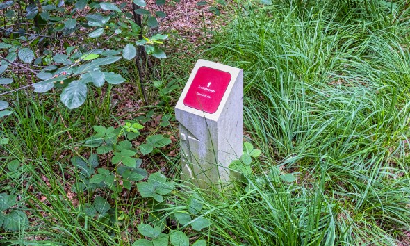 DSCF4070 kopie.jpg